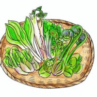 春の野菜